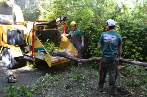 tree services Green Oaks